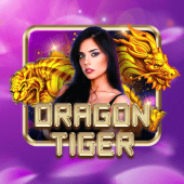 Dragon Tiger okfan live