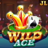 Wild Ace okfan game